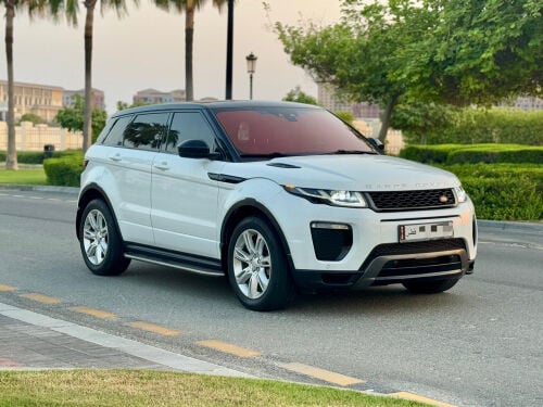 رانج ايفوك ٢٠١٧ داينمك صبغ وكالة 