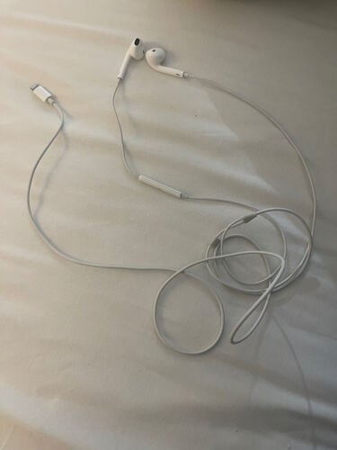 earphones apple normal type