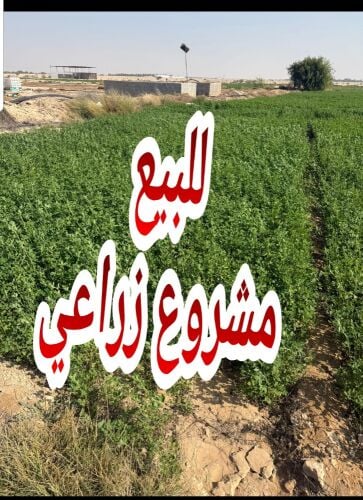 مشروع  زراعي