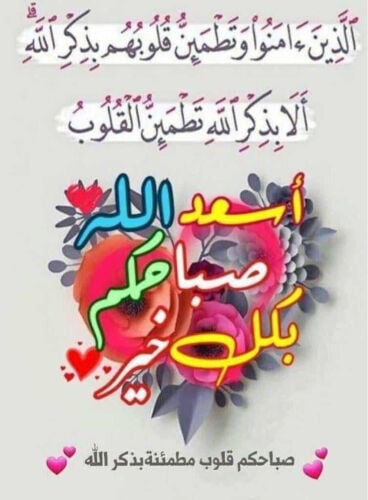مطلوب سياره اجار