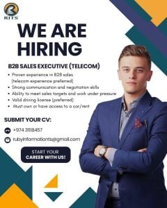 Sales Executive B2B (Telecom)