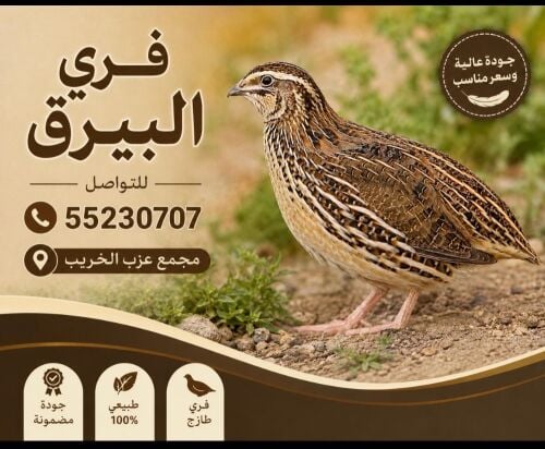 فري للبيع