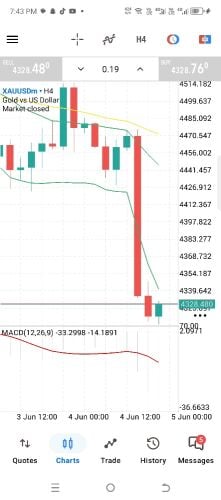 Gold Trading investor