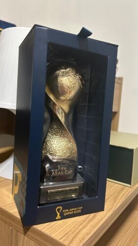 Arab fifa cup