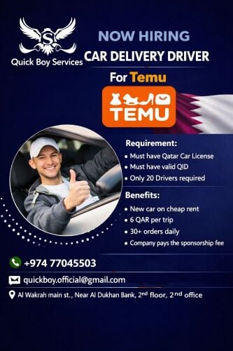 Temu Car Driver