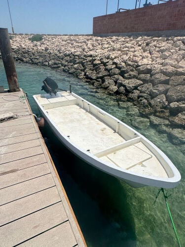 Dinghy 16Ft mercury 30hp