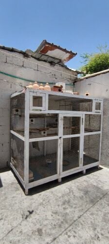 BEAUTIFUL CAGE WITH EVERYTHING