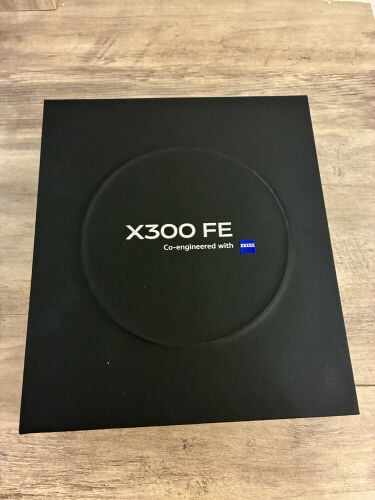 vivo300FE