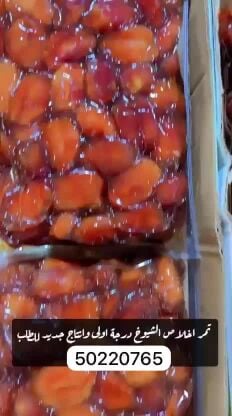 تمر اخلاص الشيوخ 