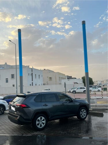 RAV25 