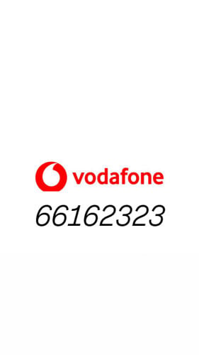 66162323