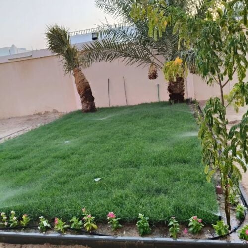 الزراعه وتنظيف حديقه