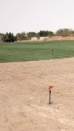 العشب وطين وترتيب