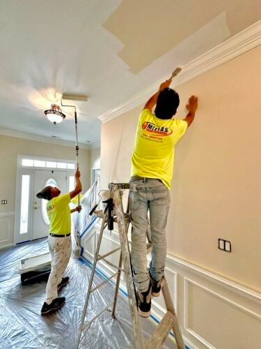 Professional Painting Services