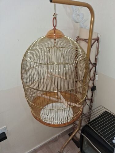 New Stand Cage