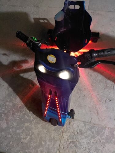 scoter