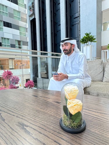 البحث عن العمل 