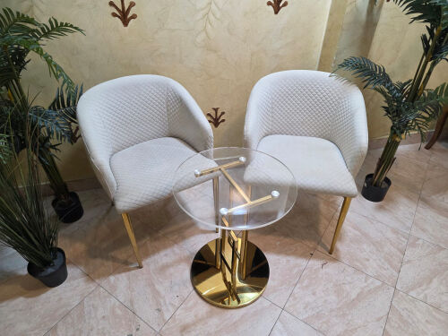 2 chair and coffee table 