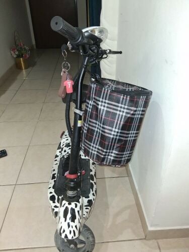 electric urban foldable scooter