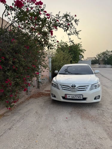 447745 Stylish number for sale 