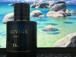 Dior Sauvage Elixir