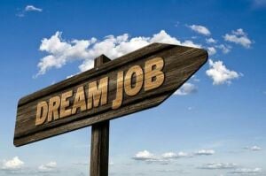 Marketing Executive