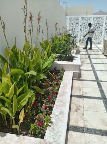عمل الاحواض