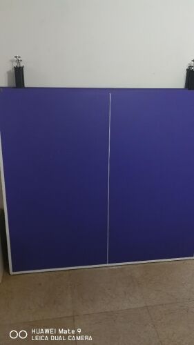 pingpong table
