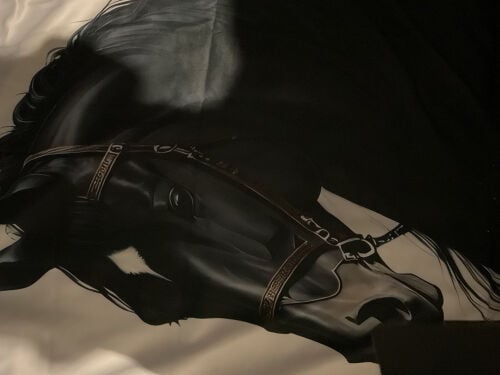 مطلوب سياس خيل