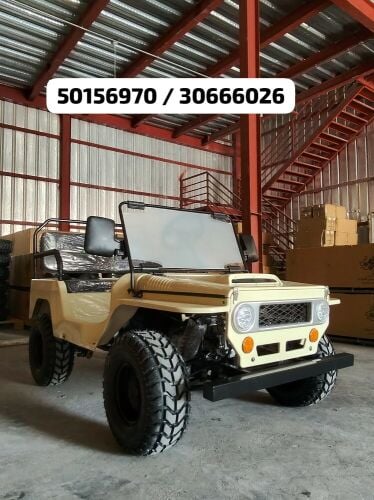mini jeep petrol model 2026