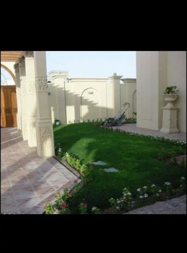عشب طبيعي