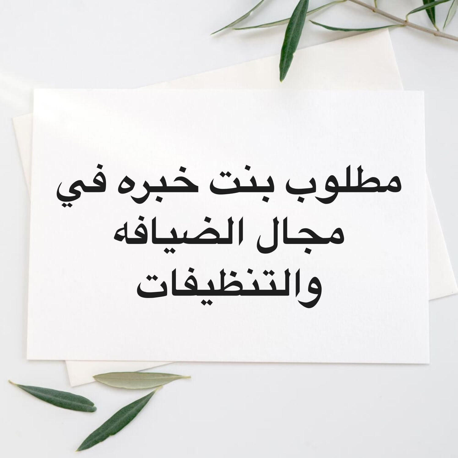 ادراة شركة ضيافه وتنظيفات 