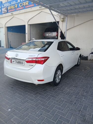 Sehab call 55216320