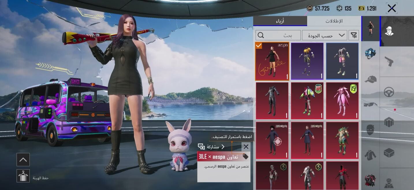 PUBG account 2 Conqueror level 74