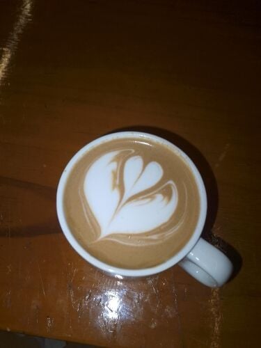 professional barista
