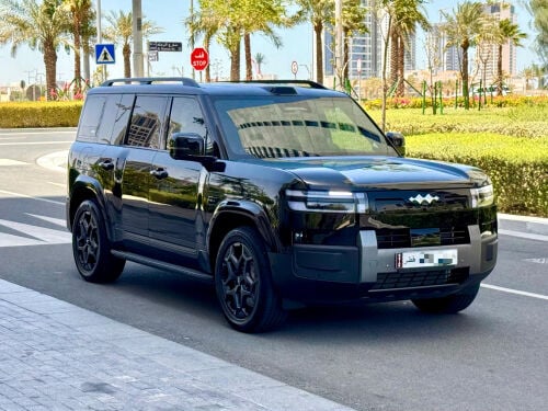 BYD Leopard 7 original paint 2026