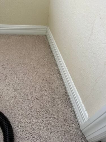 Carpet sale