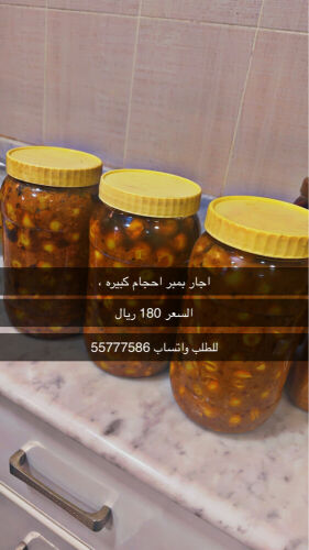 اجار  .بمبر عضوي ،،شغل بيت 