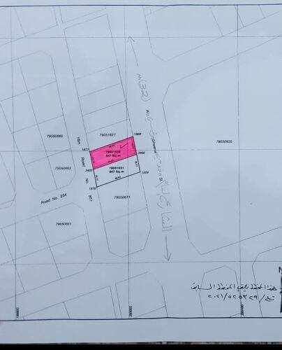 ارض الرويس مقابل قصر الساده