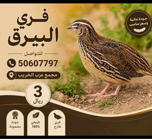 فري 