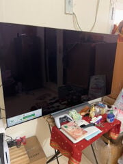 LG OLED 55 inch 