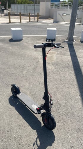 new scoter