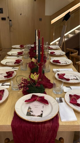 burgundy party decorations 