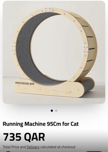   cat running machine 