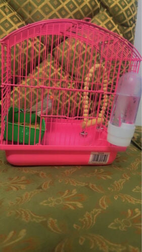 with cage 