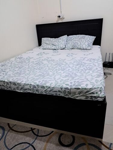 Queen Size bed and Mattress