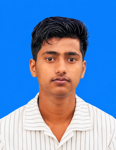 Faisal Rayeen