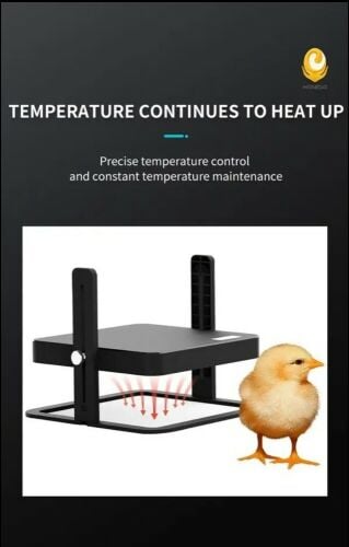 Birds Heat Plate
