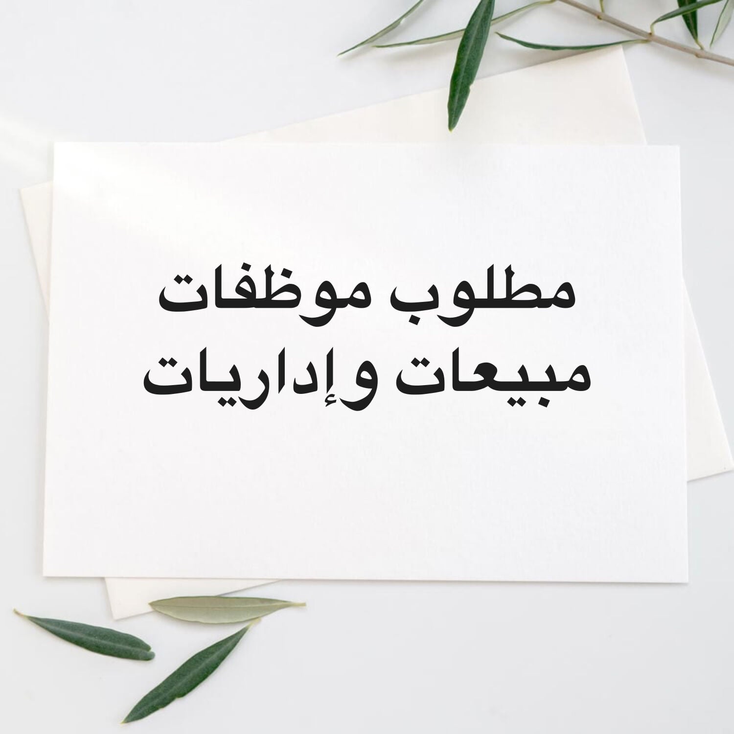 مطلوب مساعدة ادارية 
