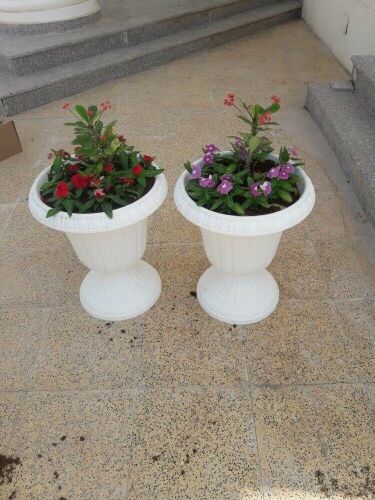 جهنميات